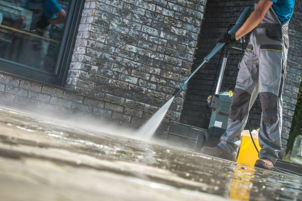 Best Animal Enclosure Cleaning  in Cove Creek, NC